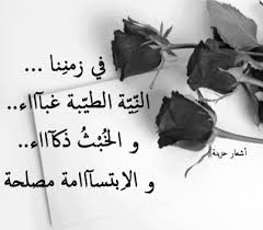 images (13).jpg
