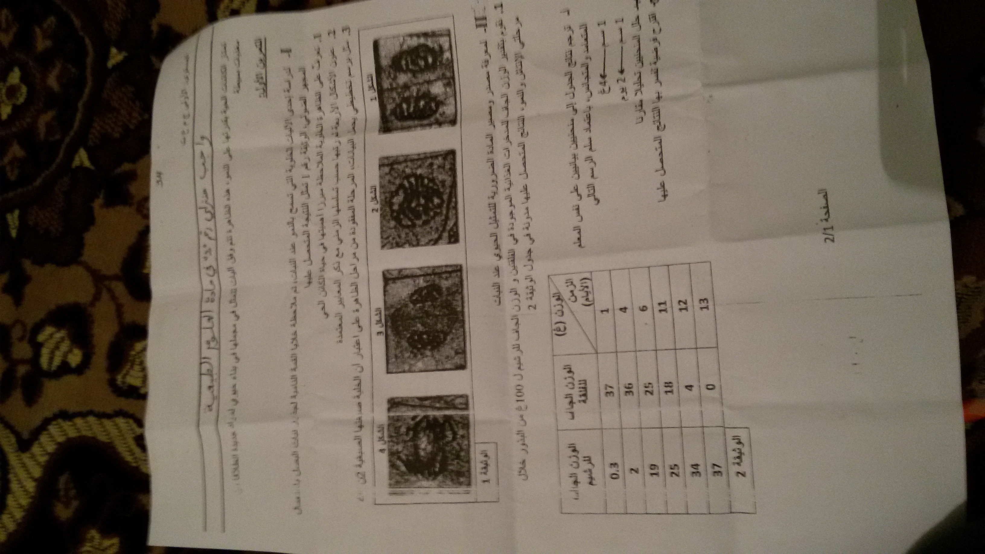 20151030_191813.jpg