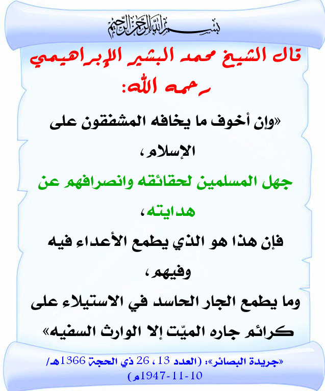919.jpg