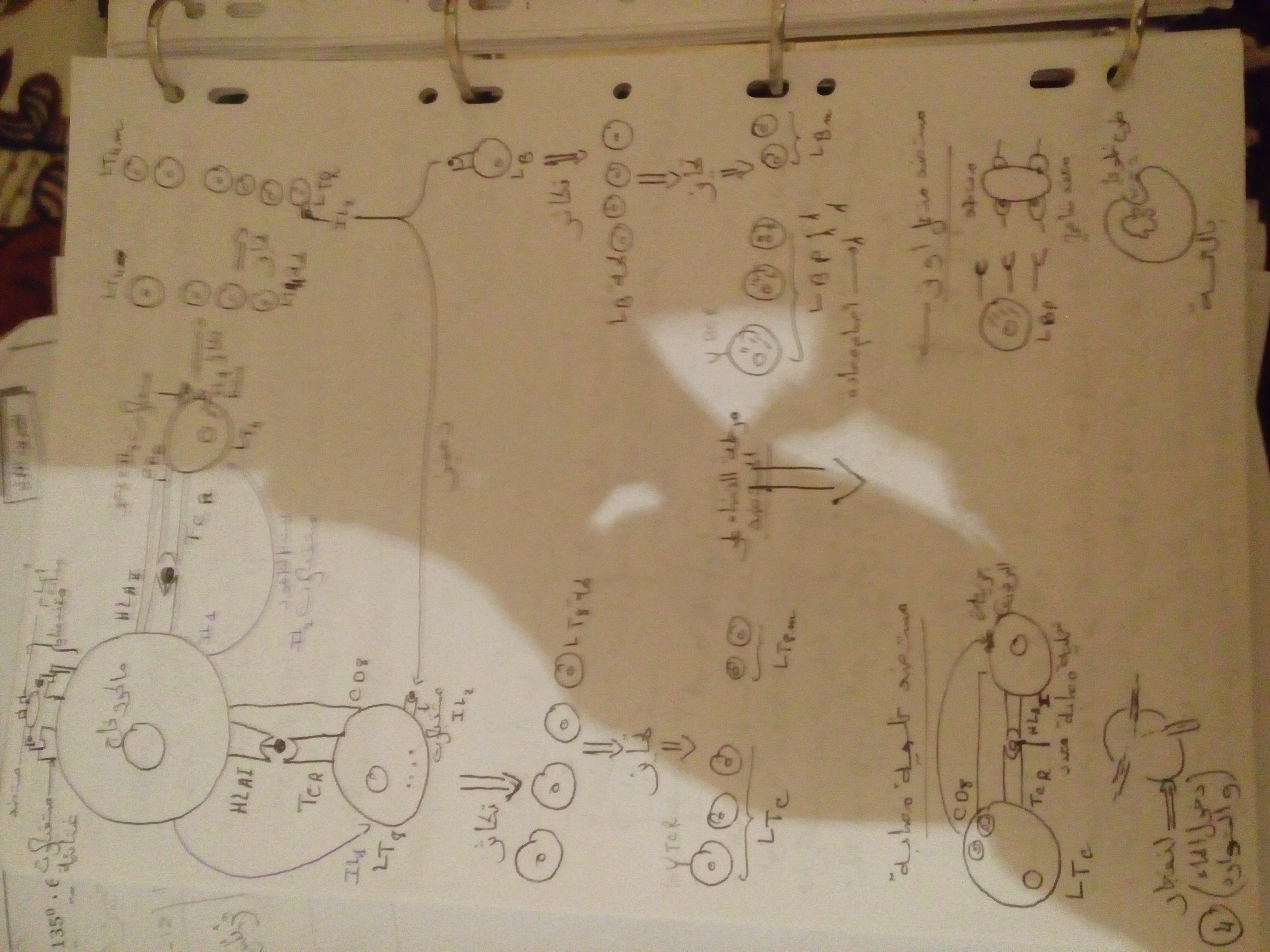20160224_205202.jpg